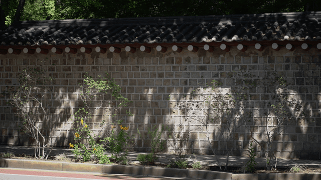 한옥 기와 돌담 거리