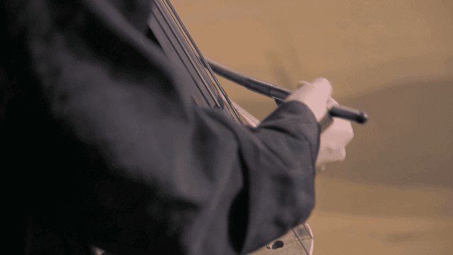 Musician playing a string instrument