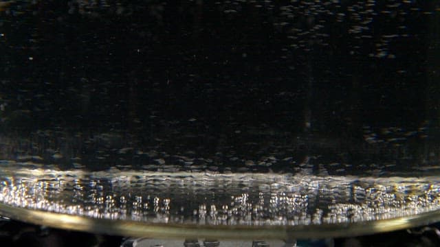 물에 끓고 있는 조개