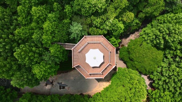 숲 속 전망대를 내려다본 모습