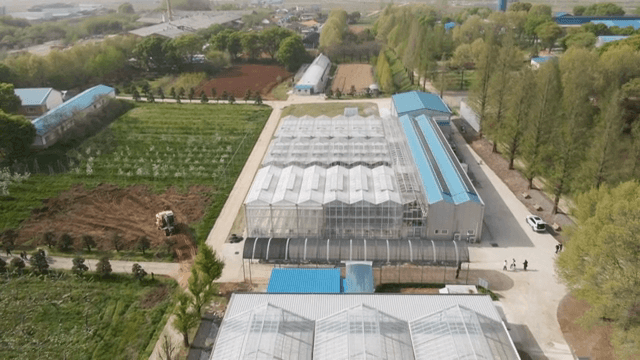 온실과 농경지의 항공 뷰