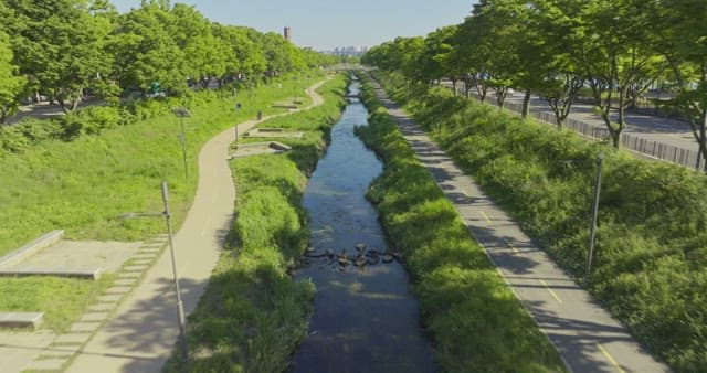 Serene river flowing through a city park