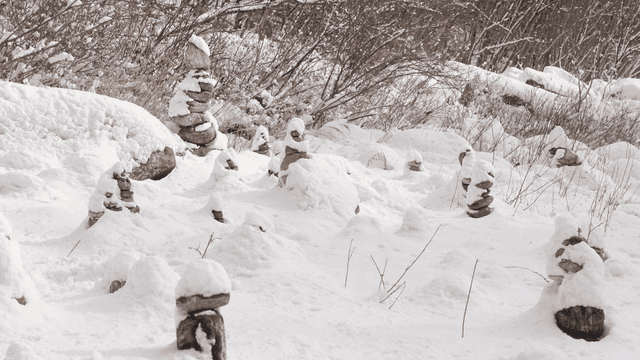 Snow-covered stone piles in a forest