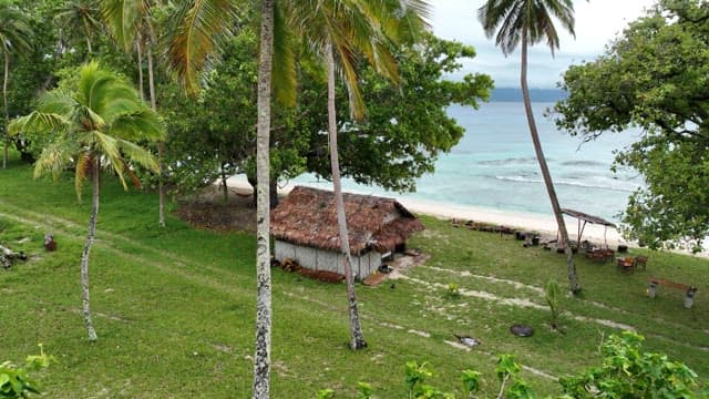 Small hut by the beach surrounded by palm trees