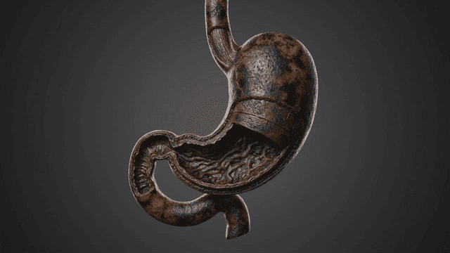 Detailed view of model of human body darkening due to illness