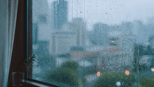 Window with dripping rain