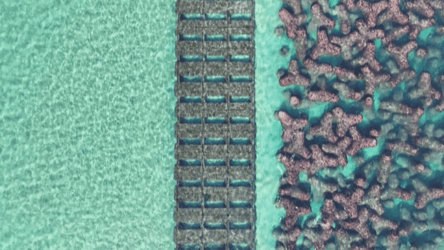 Breakwater structure in clear sea water