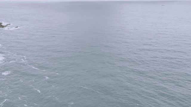 Coastal village with lush forest and sea