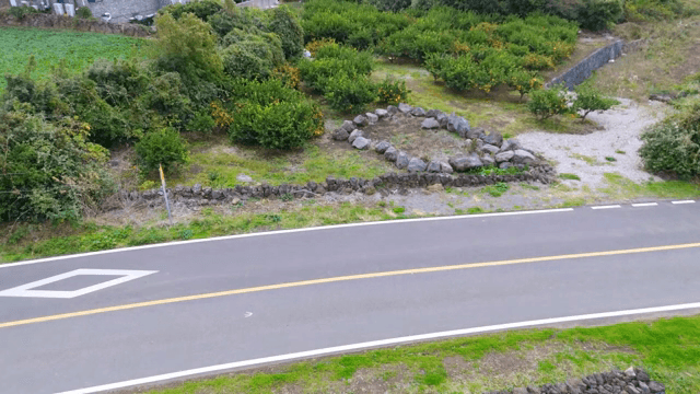 도로 옆 푸른 농장 풍경