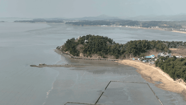 Narrow tidal flat coastline surrounded by calm sea