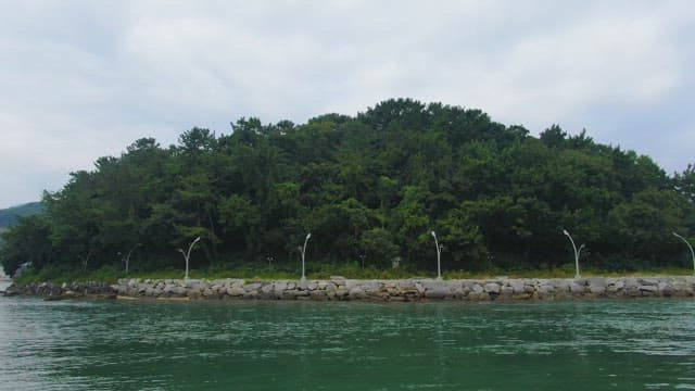 물가의 푸른 숲