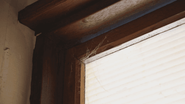 거미줄이 있는 먼지 낀 창문 모서리