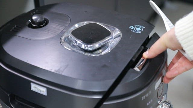 Spinach and rice cooked in an electric pressure cooker