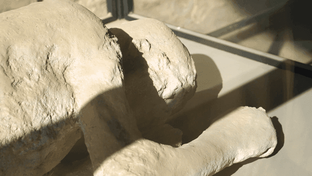 Ancient plaster remains on display at museum