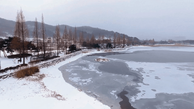 나무로 둘러싸인 얼어붙은 호수