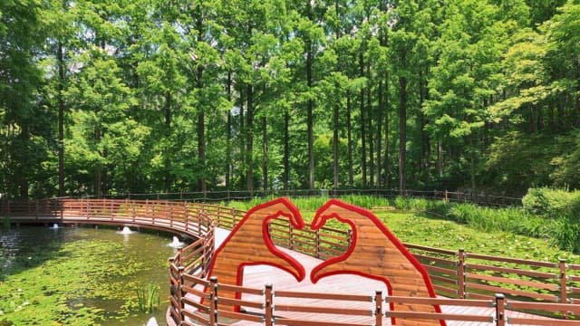 푸른 숲 속의 나무 산책로