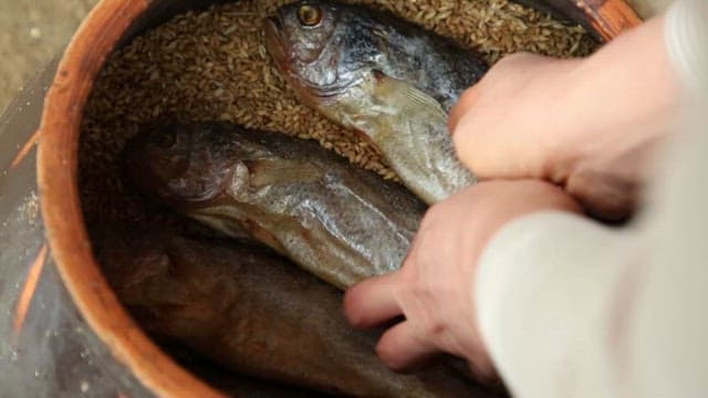 보리와 함께 항아리에 보관된 생선