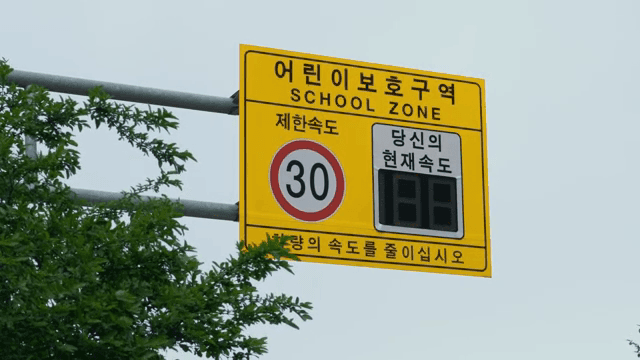 나무가 있는 어린이 보호구역 속도 제한 표지판