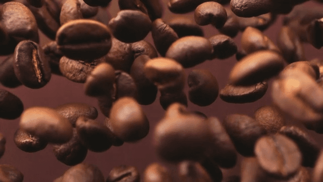 Close-up view of coffee beans floating in the air