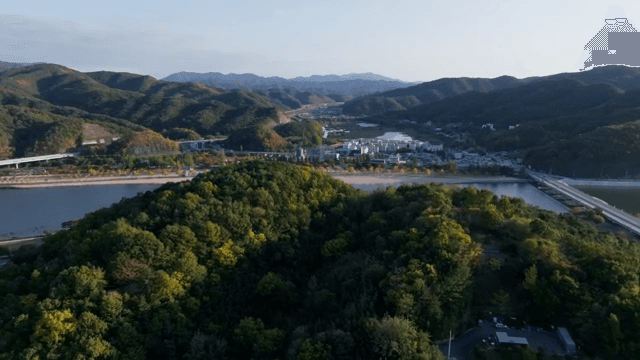 멀리 산이 보이는 울창한 숲