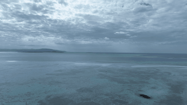 Blue coastline and vast sea