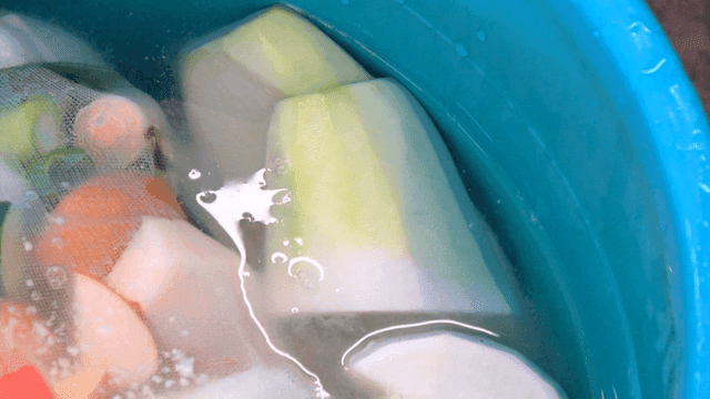 Vegetables soaked in water in blue container