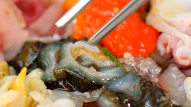 Picking up sea cucumber in cold raw fish soup using chopsticks