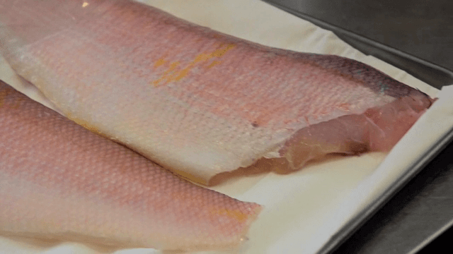 비닐에 싸인 신선한 생선 필렛