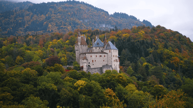European castle surrounded by autumn foliage