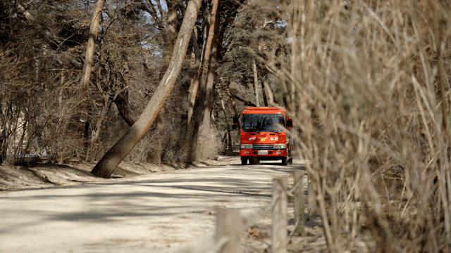 숲길을 달리는 소방차