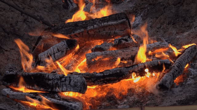 Burning logs with bright flames