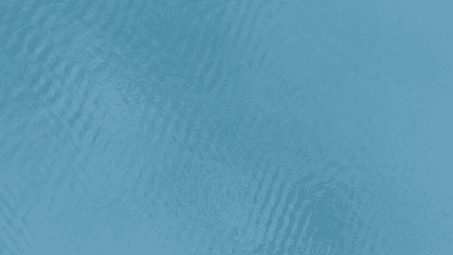 잔잔한 파도의 고요한 바다