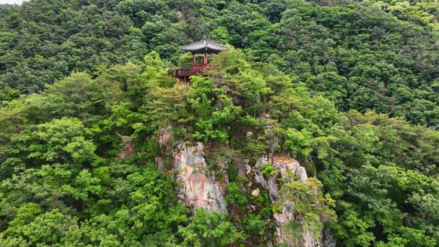 숲이 우거진 절벽 위의 전통 정자