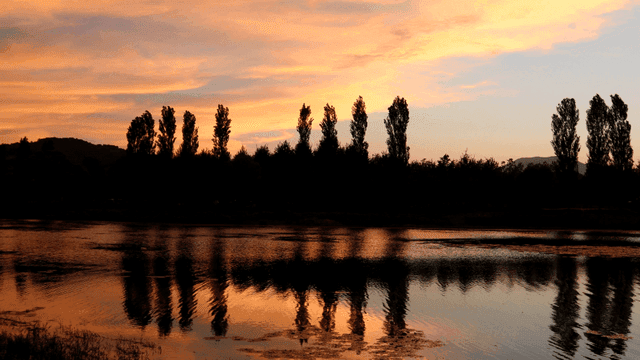 Quiet river at sunset with trees.