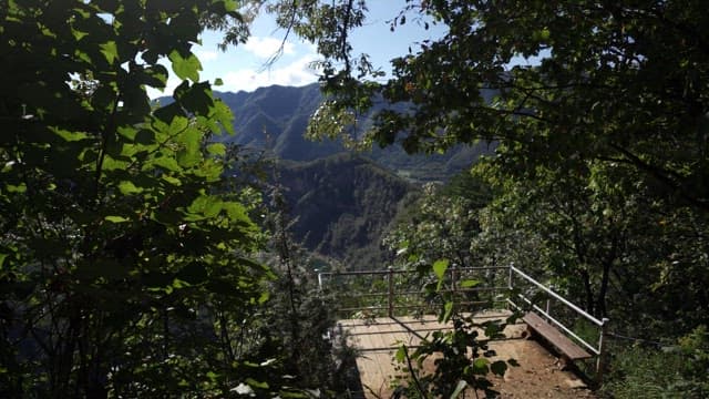 Lush mountain views from the observatory