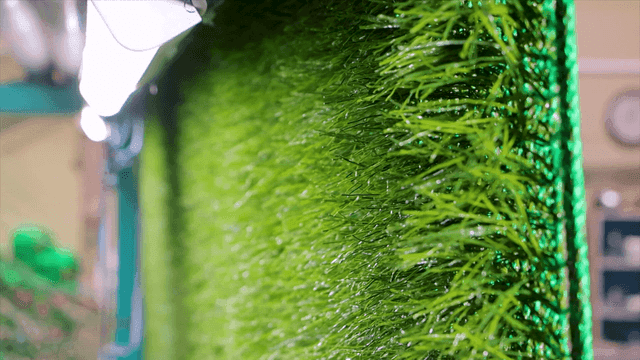 말아올려지는 거대한 인공잔디