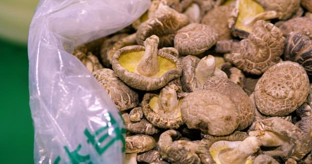 비닐에 가득 담긴 신선한 표고버섯