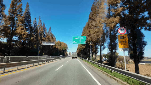 Truck driving on a tree-lined road