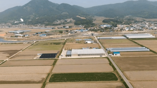 농촌 마을과 주변 농경지