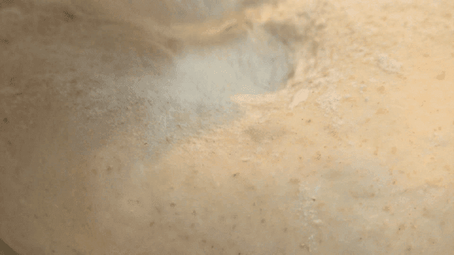 Finger pressing flour-dusted dough with glove