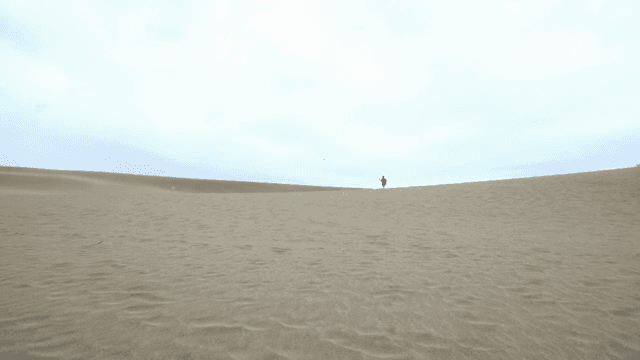 광활한 사막을 걷는 한 사람