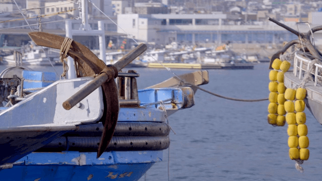 고요한 항구에 정박한 배들