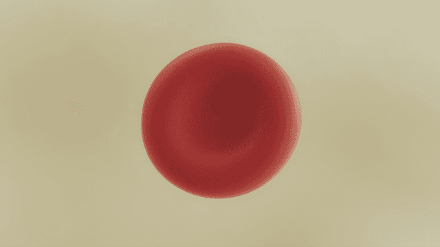 Red blood cells floating in plasma