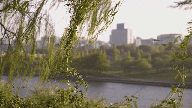 River with city buildings in background