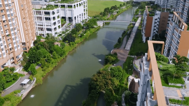 현대 도시 풍경을 흐르는 강