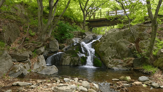나무 다리 아래로 흐르는 작은 시내