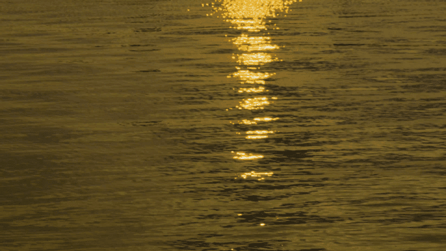 Golden sunlight reflecting on water