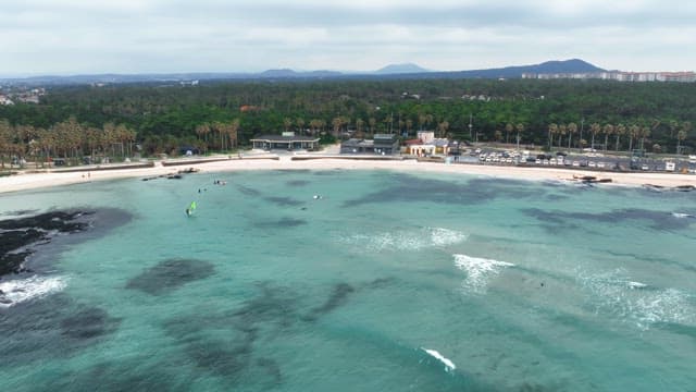 맑은 물과 나무가 있는 해변 풍경