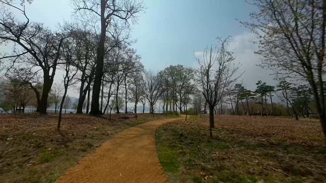 Quiet Park Walkway Under Sunny Weather