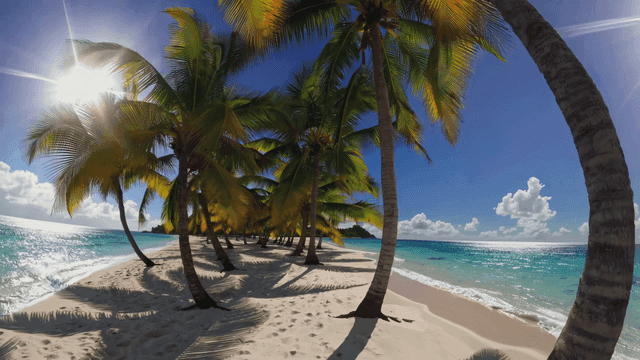 Sunny beach with clear seawater and palm trees